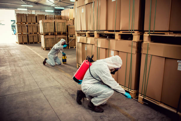 Best Pest Control Cost  in North Branch, MN