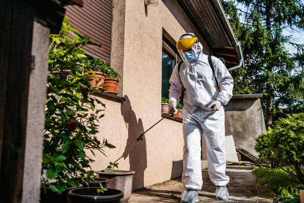Best Flea Control Services  in North Branch, MN