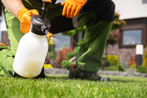 Wildlife Control Services in North Branch, MN