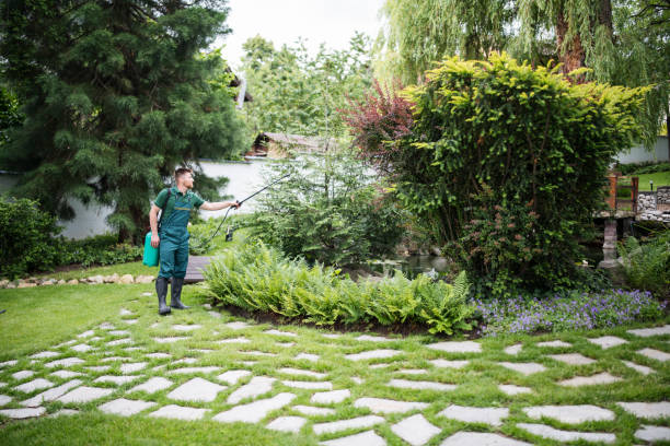 Best Mosquito Control Services  in North Branch, MN