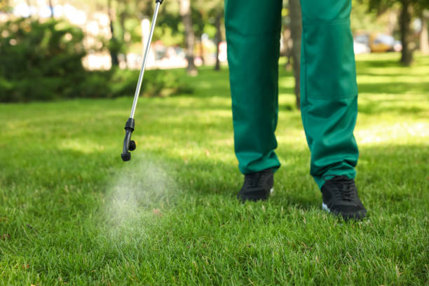 Best Best Pest Control Companies  in North Branch, MN