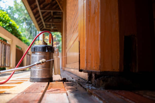 Best Exterminator Services  in North Branch, MN