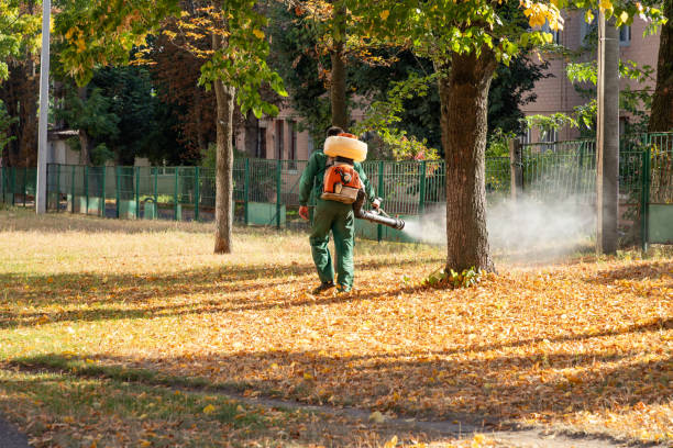 Best Local Pest Control Services  in North Branch, MN