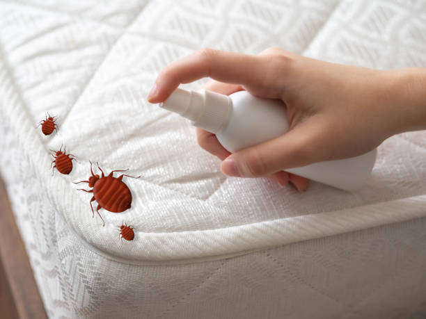 Best Emergency Pest Control  in North Branch, MN